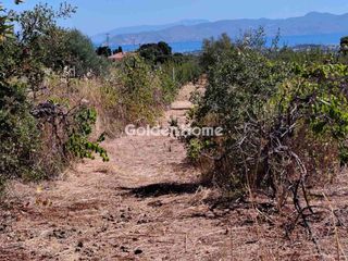 Οικόπεδο 4.200 τ.μ. για πώληση, Κορινθία, Βέλο-thumb-2