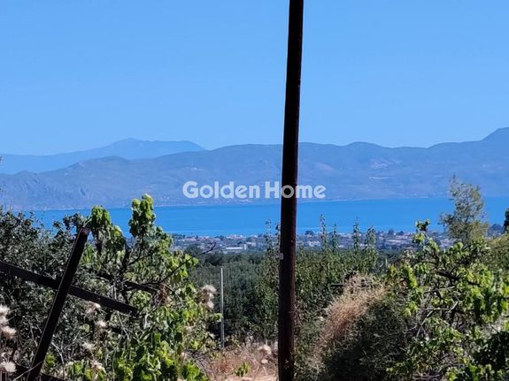 Οικόπεδο 4.200 τ.μ. για πώληση, Κορινθία, Βέλο