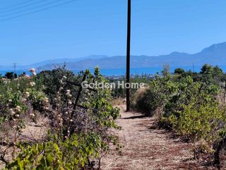 Οικόπεδο 4.200 τ.μ. για πώληση, Κορινθία, Βέλο-thumb-6