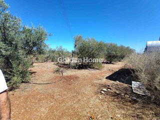 Οικόπεδο 4.200 τ.μ. για πώληση, Κορινθία, Βέλο-thumb-10