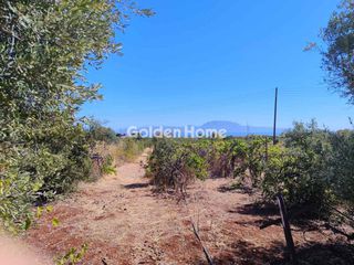 Οικόπεδο 4.200 τ.μ. για πώληση, Κορινθία, Βέλο-thumb-5
