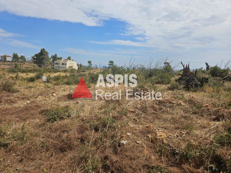 Οικόπεδο 1.022 τ.μ. προς πώληση