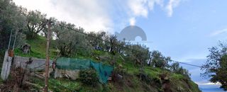 Αγροτεμάχια 2.300 τ.μ. για πώληση