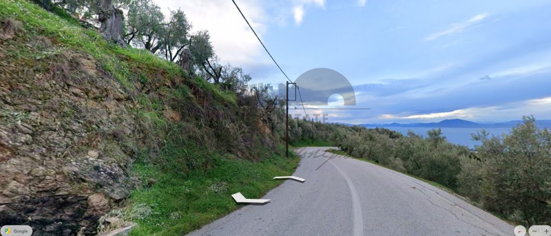 Αγροτεμάχια 2.300 τ.μ. πρός πώληση, Μαγνησία, Αρτέμιδα
