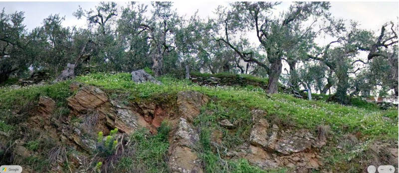 Αγροτεμάχια 2.300 τ.μ. πρός πώληση, Μαγνησία, Αρτέμιδα