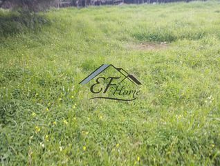 Οικόπεδο 433 τ.μ. για πώληση, Αχαΐα, Δυτικής Αχαΐας-thumb-5