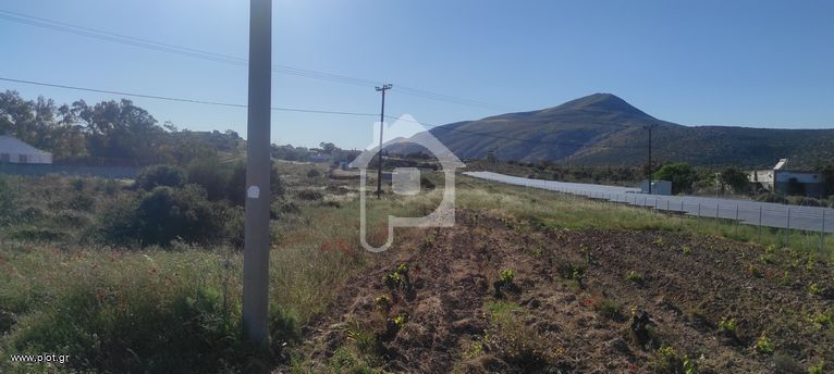 Αγροτεμάχια 1.681 τ.μ. για πώληση, Αττική - Υπόλοιπο, Κερατέα