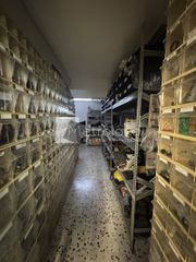 Επιχειρηματικό κτίριο 980 τ.μ. για ενοικίαση, Πειραιάς, Αγία Σοφία-thumb-12