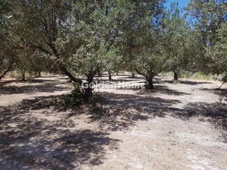 Οικόπεδο 4.372 τ.μ. για πώληση, Ν. Χανίων, Πλατανιάς-thumb-2