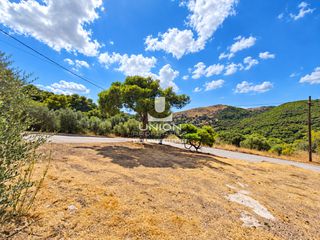 Οικόπεδο 342 τ.μ. για πώληση, Αττική - Υπόλοιπο, Κερατέα-thumb-7