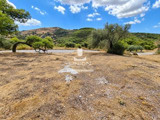Οικόπεδο 342 τ.μ. για πώληση, Αττική - Υπόλοιπο, Κερατέα-thumb-6