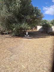 Οικόπεδο 342 τ.μ. για πώληση, Αττική - Υπόλοιπο, Κερατέα-thumb-8