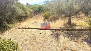 Οικόπεδο 382 τ.μ. για πώληση, Αχαΐα, Αίγιο-thumb-1
