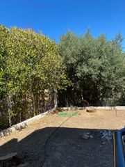 Studio / γκαρσονιέρα 32 τ.μ. για ενοικίαση, Αχαΐα, Πάτρα-thumb-13