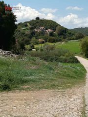 Αγροτεμάχια 27.529 τ.μ. για πώληση, Αχαΐα, Τριταία-thumb-4