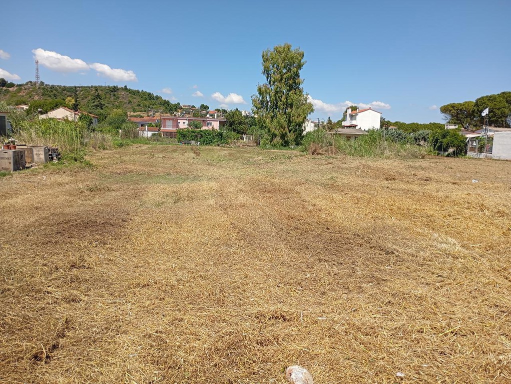 Οικόπεδο 1.470 τ.μ. προς πώληση, Κ. Σκάλας Ωρωπού
