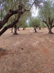 Parcel 1.567 sqm for sale