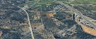 Αγροτεμάχια 1.567 τ.μ. για πώληση, Μεσσηνία, Αρφαρά-thumb-8