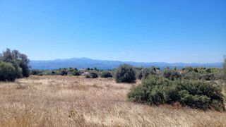Αγροτεμάχια 36.000 τ.μ. για πώληση