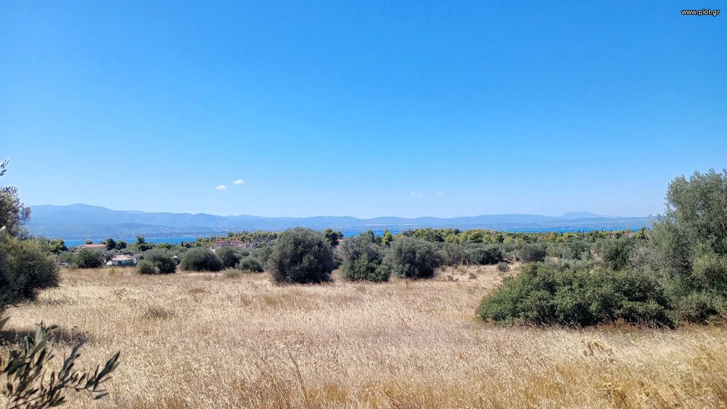 Αγροτεμάχια 36.000 τ.μ. πρός πώληση, Εύβοια, Ερέτρια