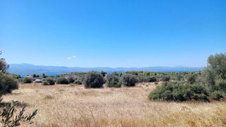 Αγροτεμάχια 36.000 τ.μ. προς πώληση, Ερέτρια Εύβοιας-thumb-1