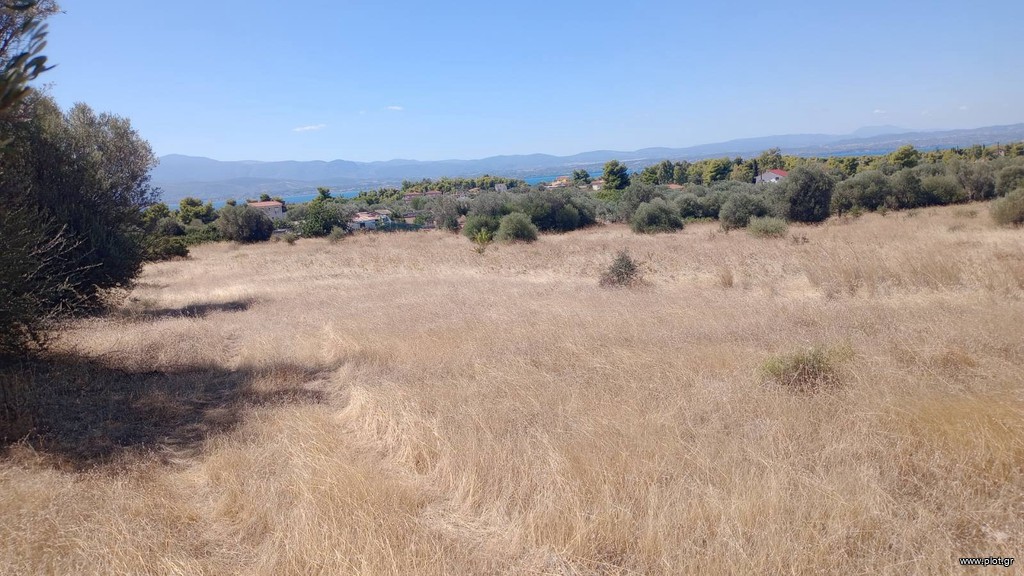 Αγροτεμάχια 36.000 τ.μ. πρός πώληση, Εύβοια, Ερέτρια