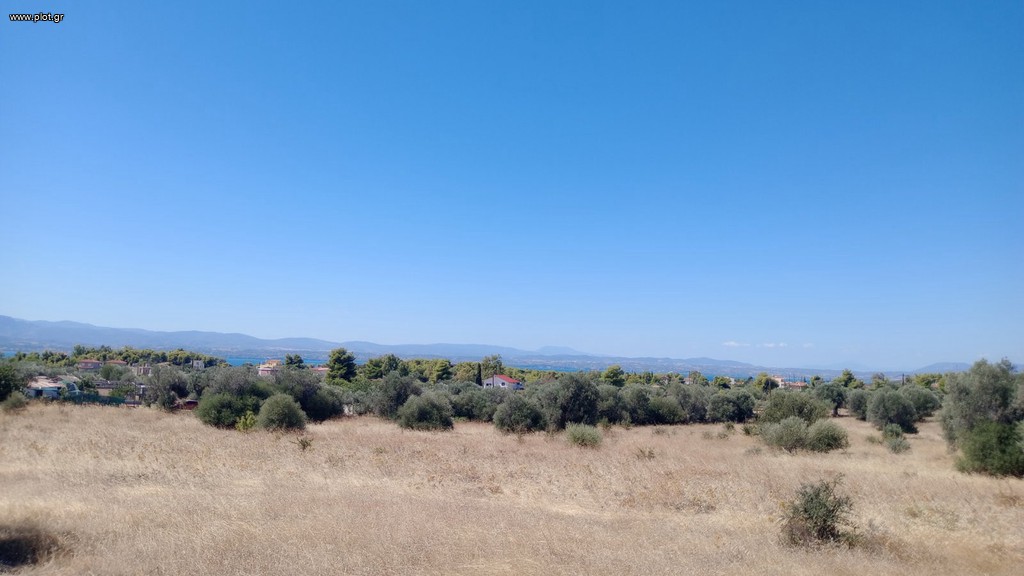 Αγροτεμάχια 36.000 τ.μ. πρός πώληση, Εύβοια, Ερέτρια