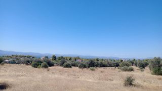 Αγροτεμάχια 36.000 τ.μ. προς πώληση, Ερέτρια Εύβοιας-thumb-4
