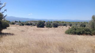 Αγροτεμάχια 36.000 τ.μ. προς πώληση, Ερέτρια Εύβοιας-thumb-6