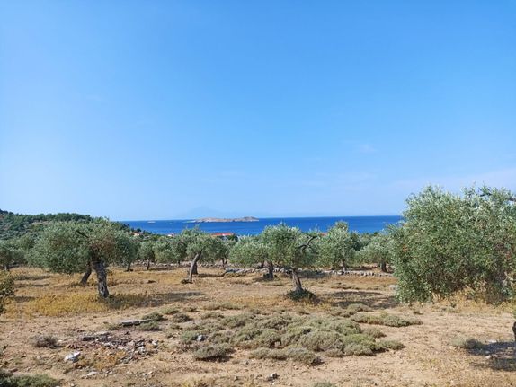 Αγροτεμάχια 34.105 τ.μ. για πώληση, Ν. Καβάλας, Θάσος