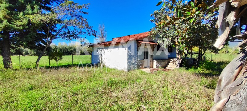 Μονοκατοικία 59,46 τ.μ. πρός πώληση, Μαγνησία, Πτελεός