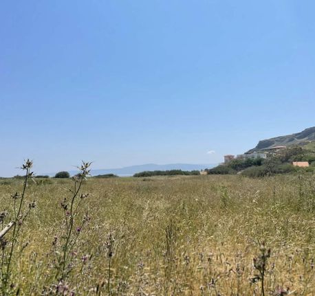 Οικόπεδο 2.217,26 τ.μ. για πώληση, Ν. Καρδίτσας, Ιθώμης