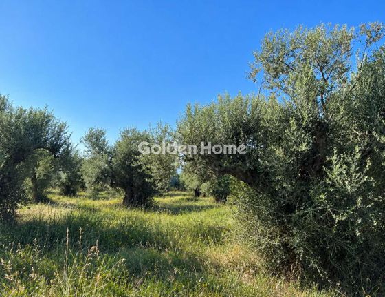 Οικόπεδο 4.000 τ.μ. για πώληση, Μεσσηνία, Ανδανία