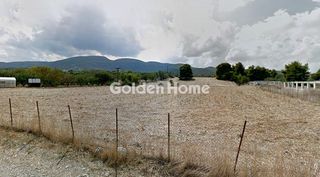 Αγροτεμάχια 2.161 τ.μ. για πώληση