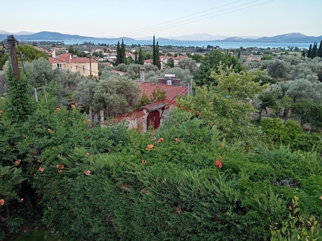 Μεζονέτα 120 τ.μ. προς πώληση, Πολιτικά