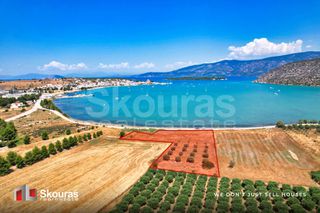 Αγροτεμάχια 5.000 τ.μ. για πώληση, Αργολίδα, Κρανίδι-thumb-1