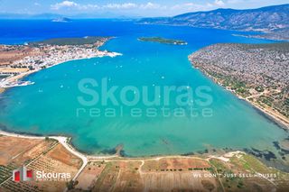 Αγροτεμάχια 5.000 τ.μ. για πώληση, Αργολίδα, Κρανίδι-thumb-23