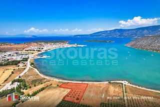 Αγροτεμάχια 5.000 τ.μ. για πώληση, Αργολίδα, Κρανίδι-thumb-14