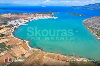 Αγροτεμάχια 5.000 τ.μ. για πώληση, Αργολίδα, Κρανίδι-thumb-17