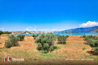 Αγροτεμάχια 5.000 τ.μ. για πώληση, Αργολίδα, Κρανίδι-thumb-8