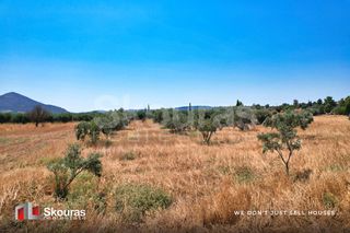 Αγροτεμάχια 5.000 τ.μ. για πώληση, Αργολίδα, Κρανίδι-thumb-9