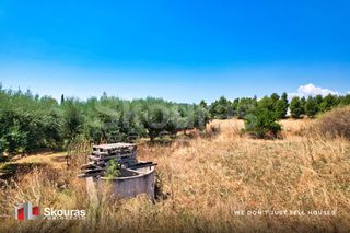 Αγροτεμάχια 5.000 τ.μ. για πώληση, Αργολίδα, Κρανίδι-thumb-7