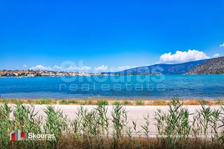 Αγροτεμάχια 5.000 τ.μ. για πώληση, Αργολίδα, Κρανίδι-thumb-4