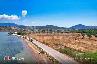Αγροτεμάχια 5.000 τ.μ. για πώληση, Αργολίδα, Κρανίδι-thumb-22