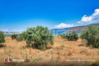 Αγροτεμάχια 5.000 τ.μ. για πώληση, Αργολίδα, Κρανίδι-thumb-10