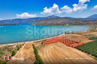 Αγροτεμάχια 5.000 τ.μ. για πώληση, Αργολίδα, Κρανίδι-thumb-18