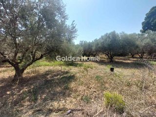 Οικόπεδο 7.500 τ.μ. για πώληση