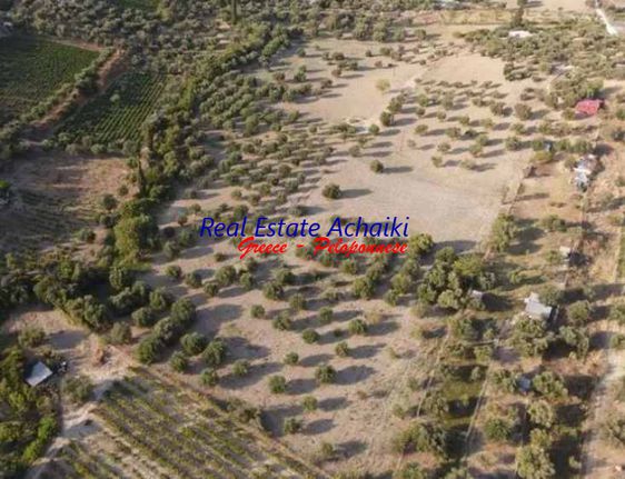 Αγροτεμάχια 33.545 τ.μ. για πώληση, Αχαΐα, Παραλία