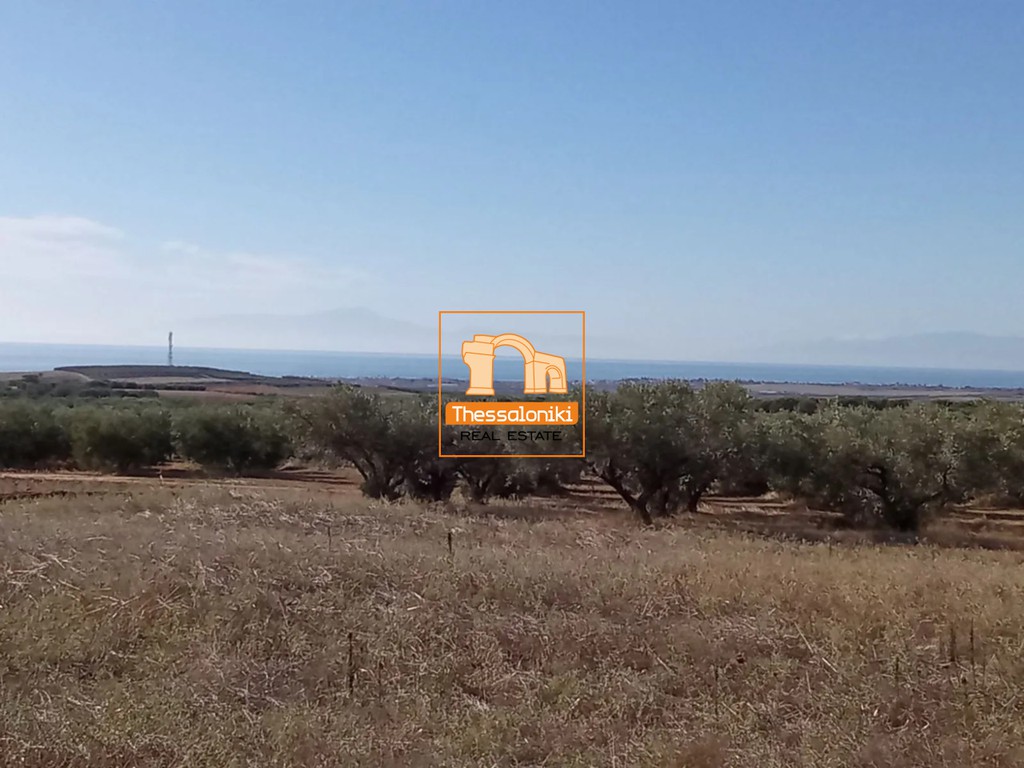 Αγροτεμάχια 4.125 τ.μ. πρός πώληση, Χαλκιδική, Τριγλία