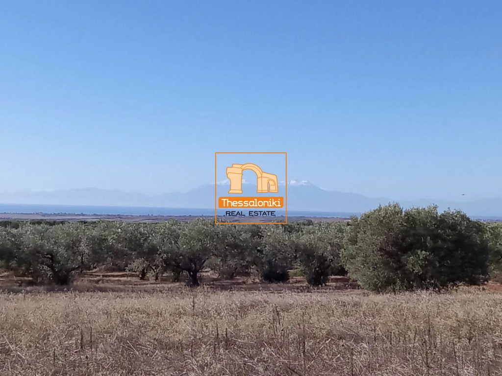 Αγροτεμάχια 4.125 τ.μ. πρός πώληση, Χαλκιδική, Τριγλία